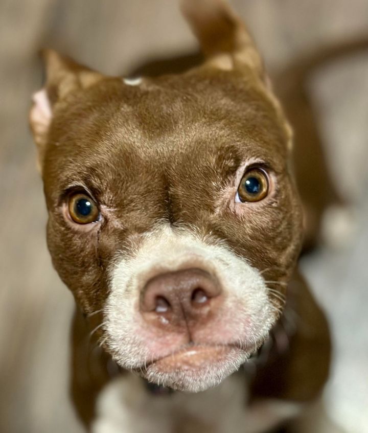 Charlie 2