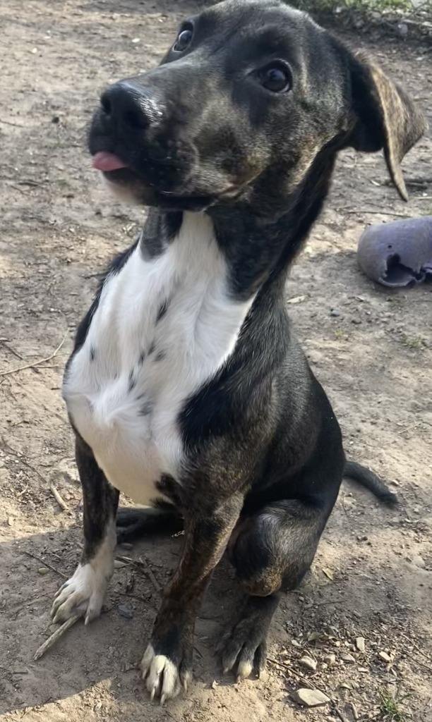 Max