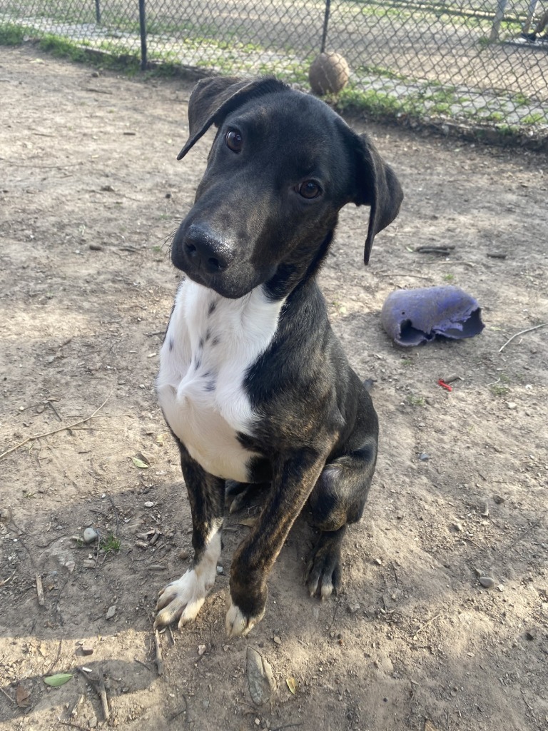 Max