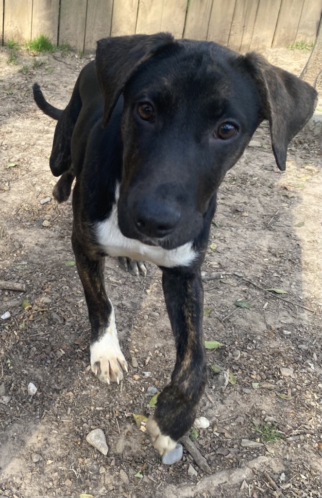 Max