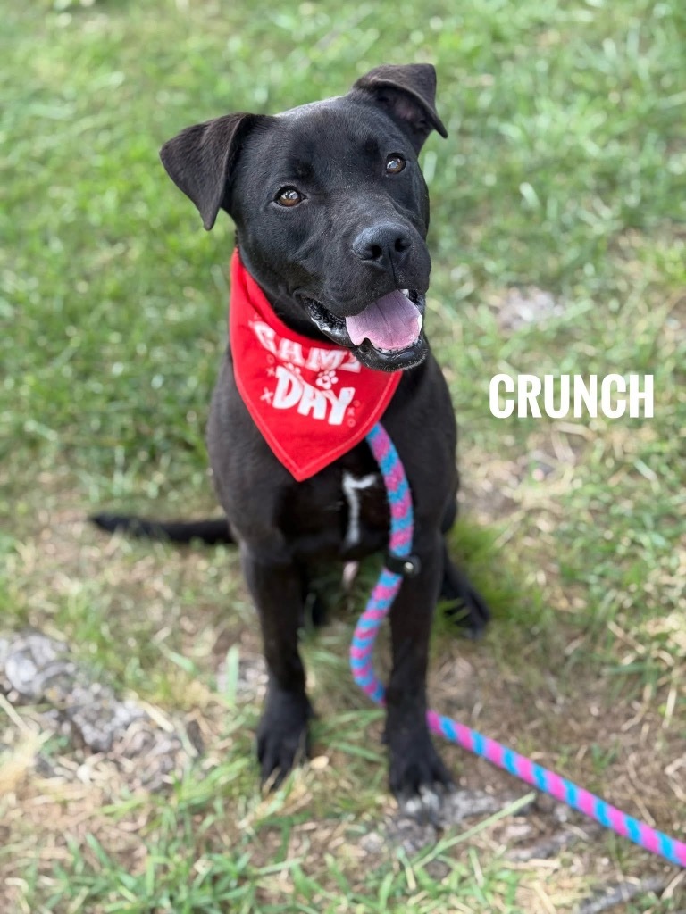 Crunch