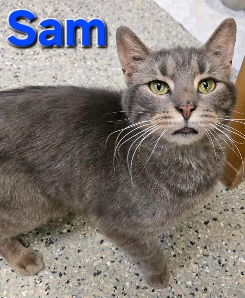 Sam
