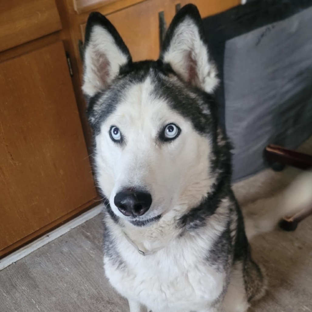 Milo