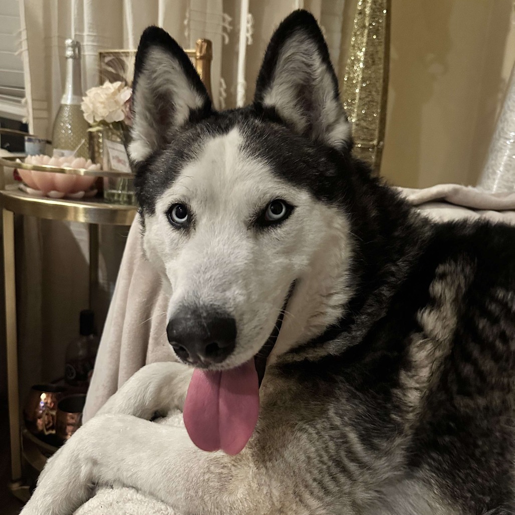 Milo