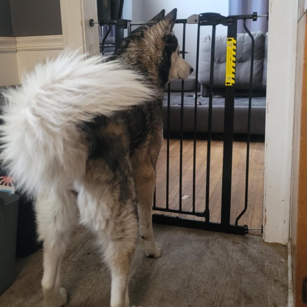 Milo