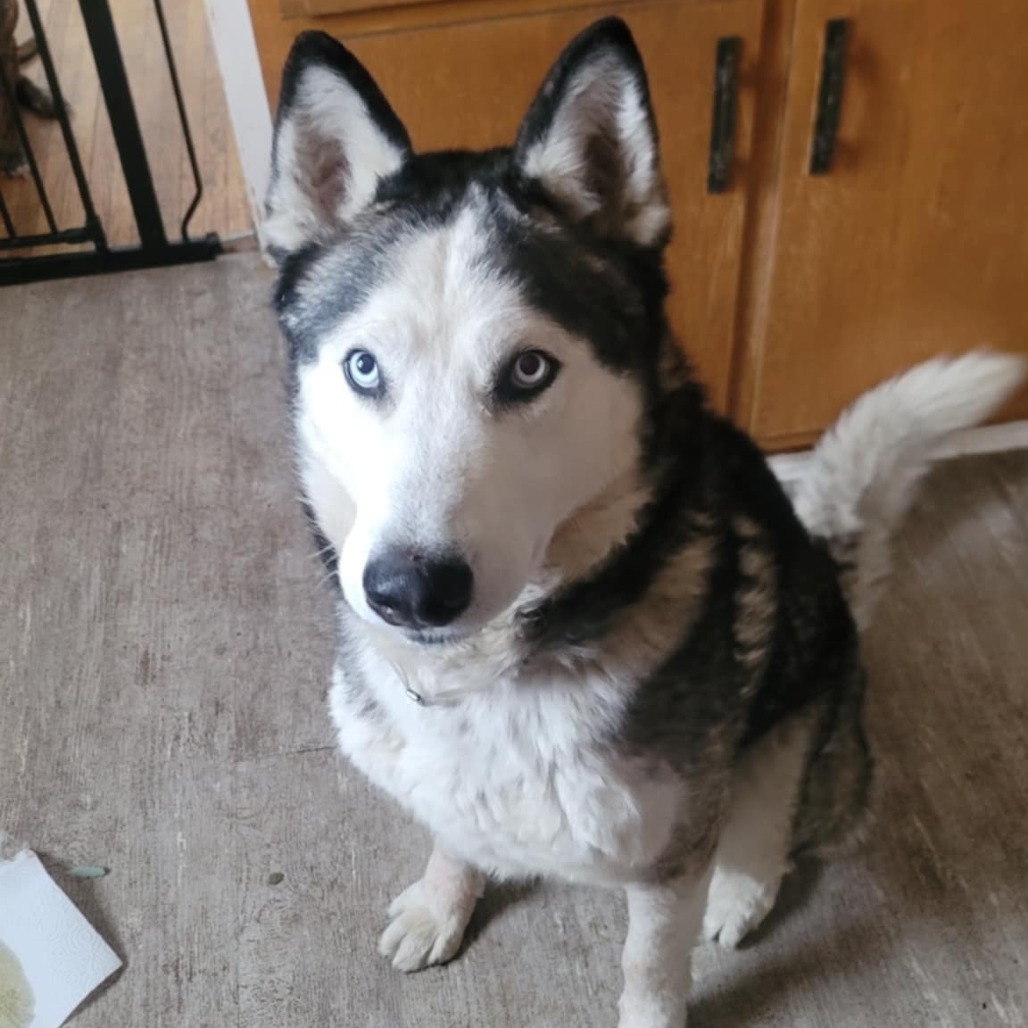 Milo