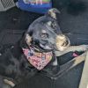Mother Theresa Rez AZ photo 2