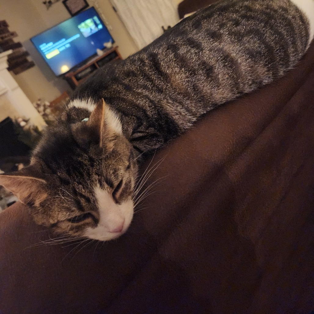 Pumba