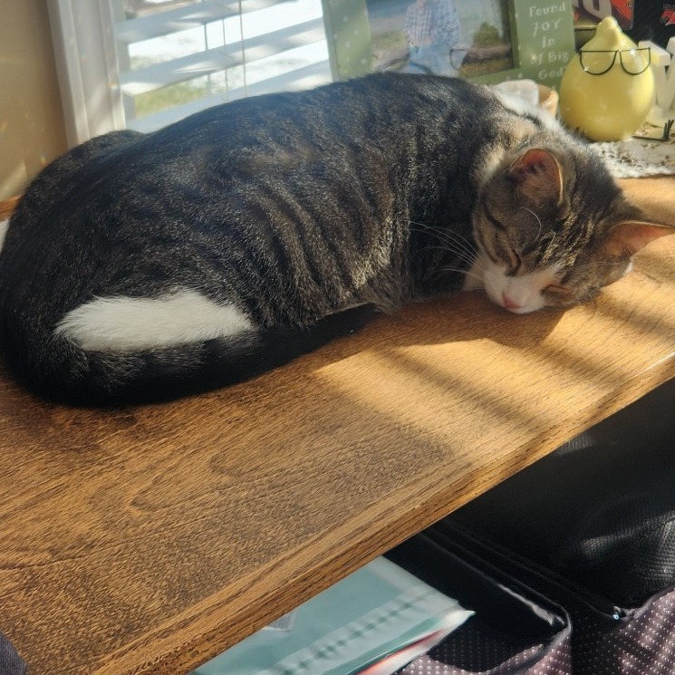 Pumba