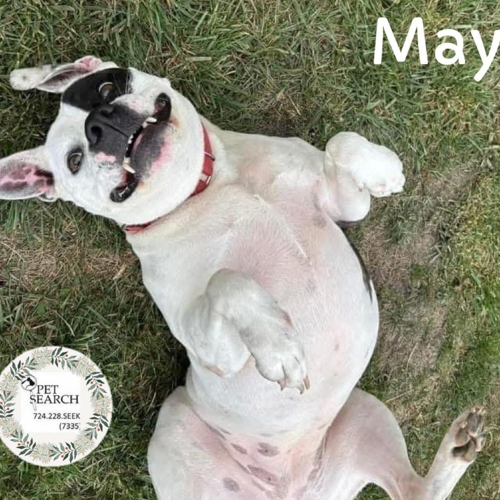 May
