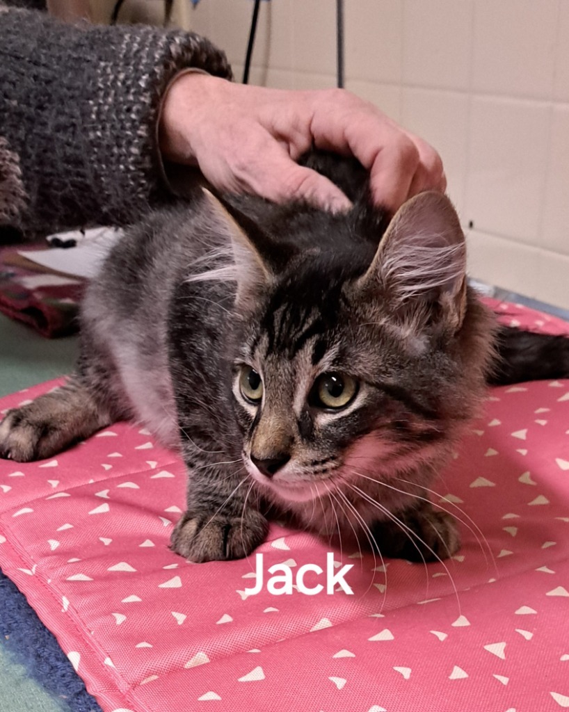 Jack