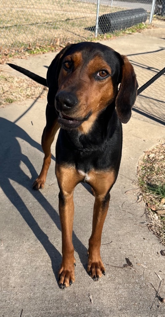 Ruger