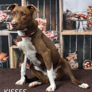 Kisses