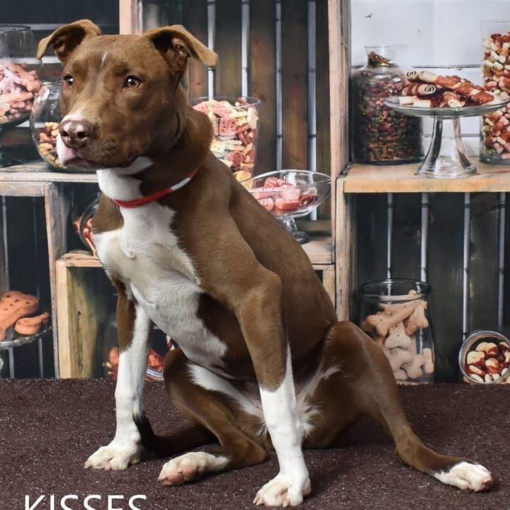 Kisses 1