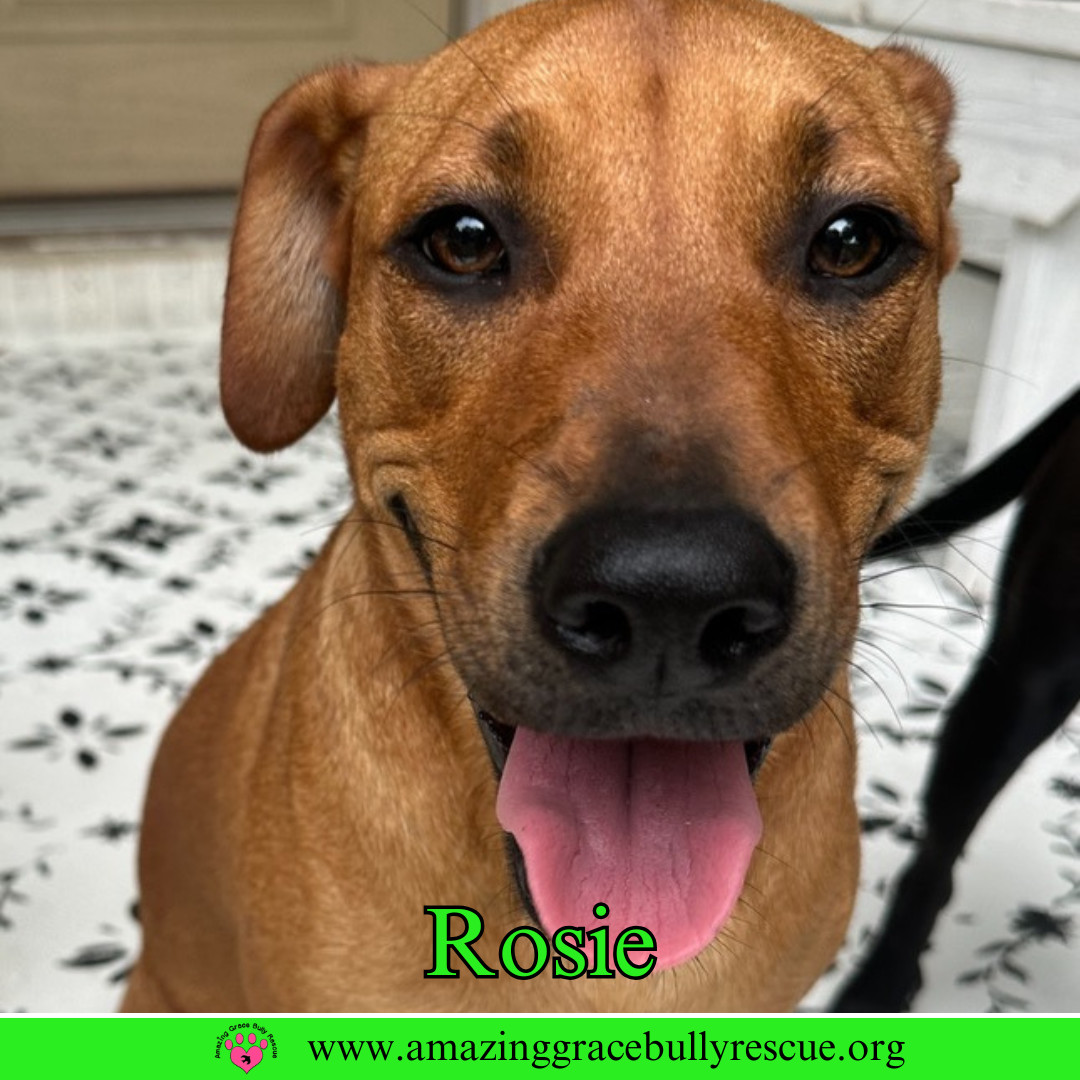 Rosie