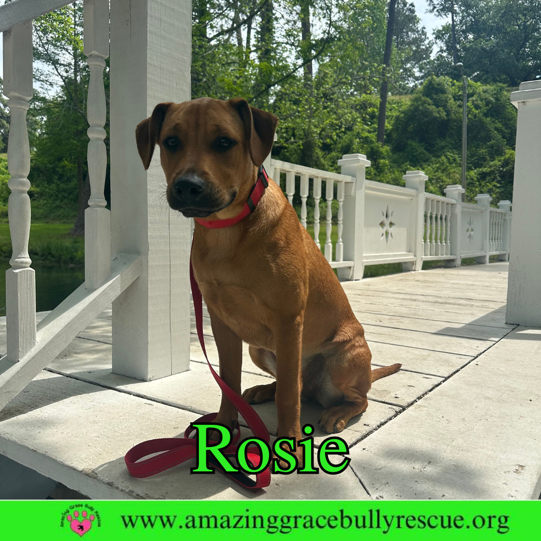 Rosie
