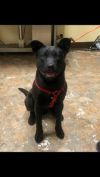 Clyde photo 2