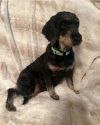 Esther photo 2