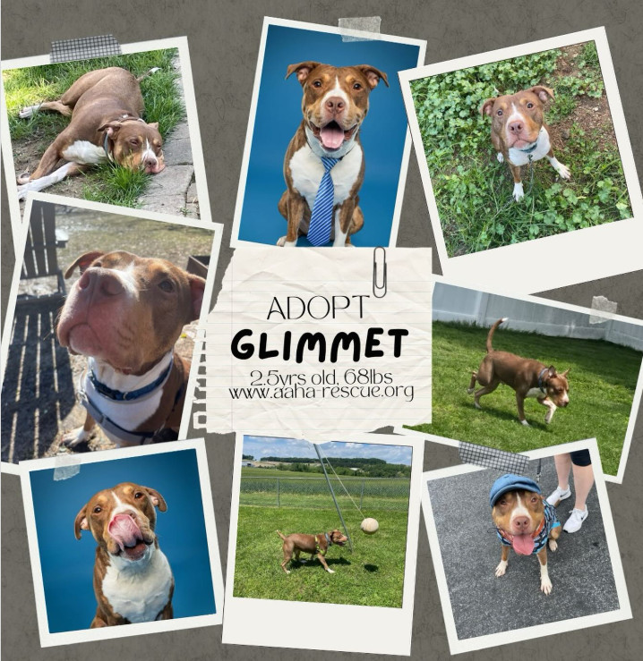 Glimmet