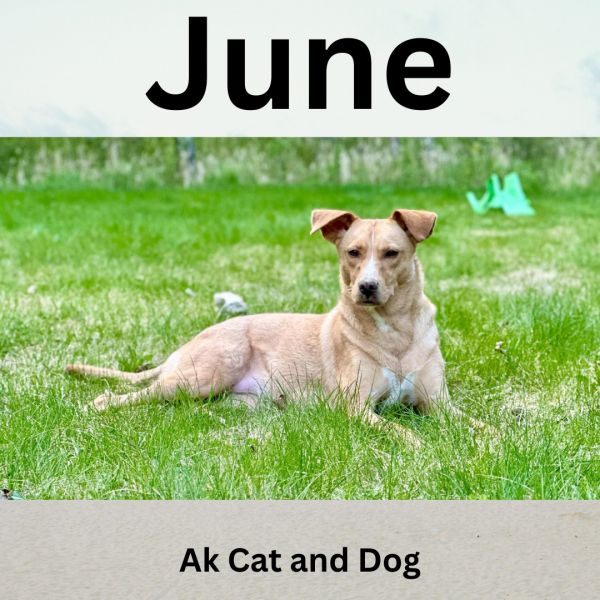 June