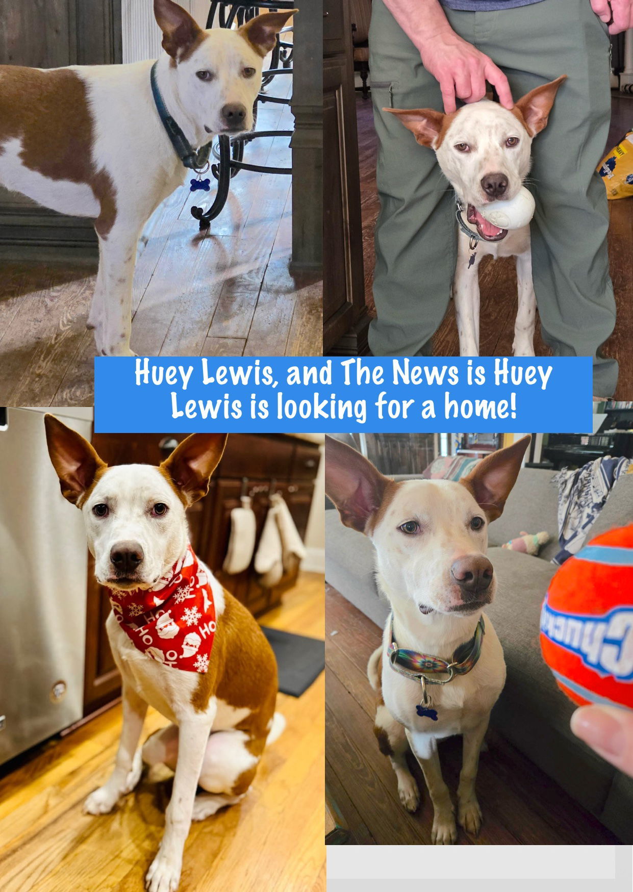 Huey Lewis