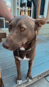 Hunter 2 photo 1