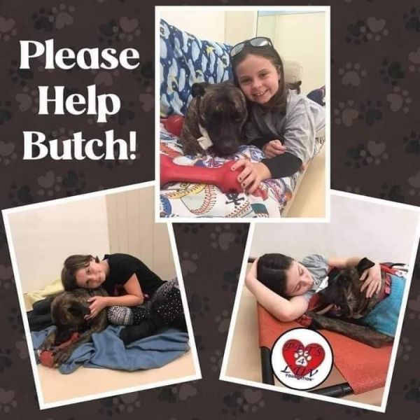 Butch thumbnail 3