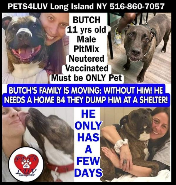 Butch thumbnail 6