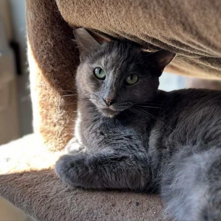 Missy 4