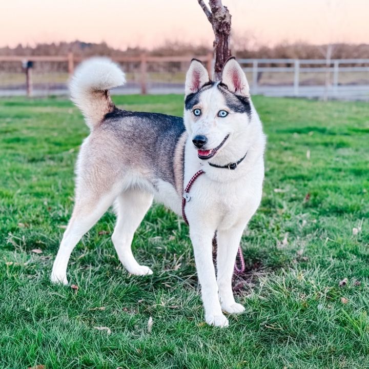 Luna 2