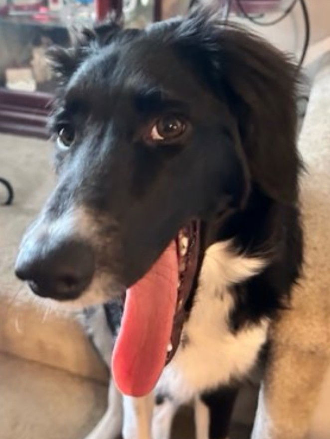 Riley 2