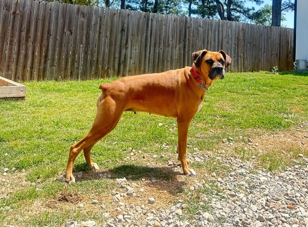Heidi