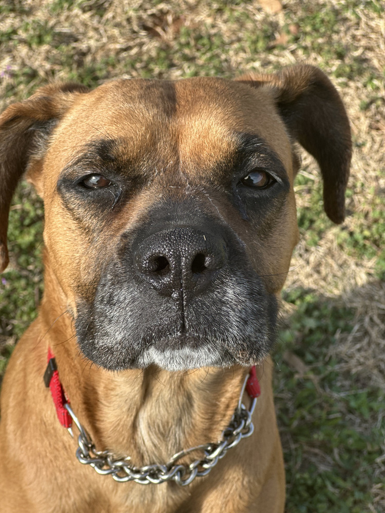 Heidi
