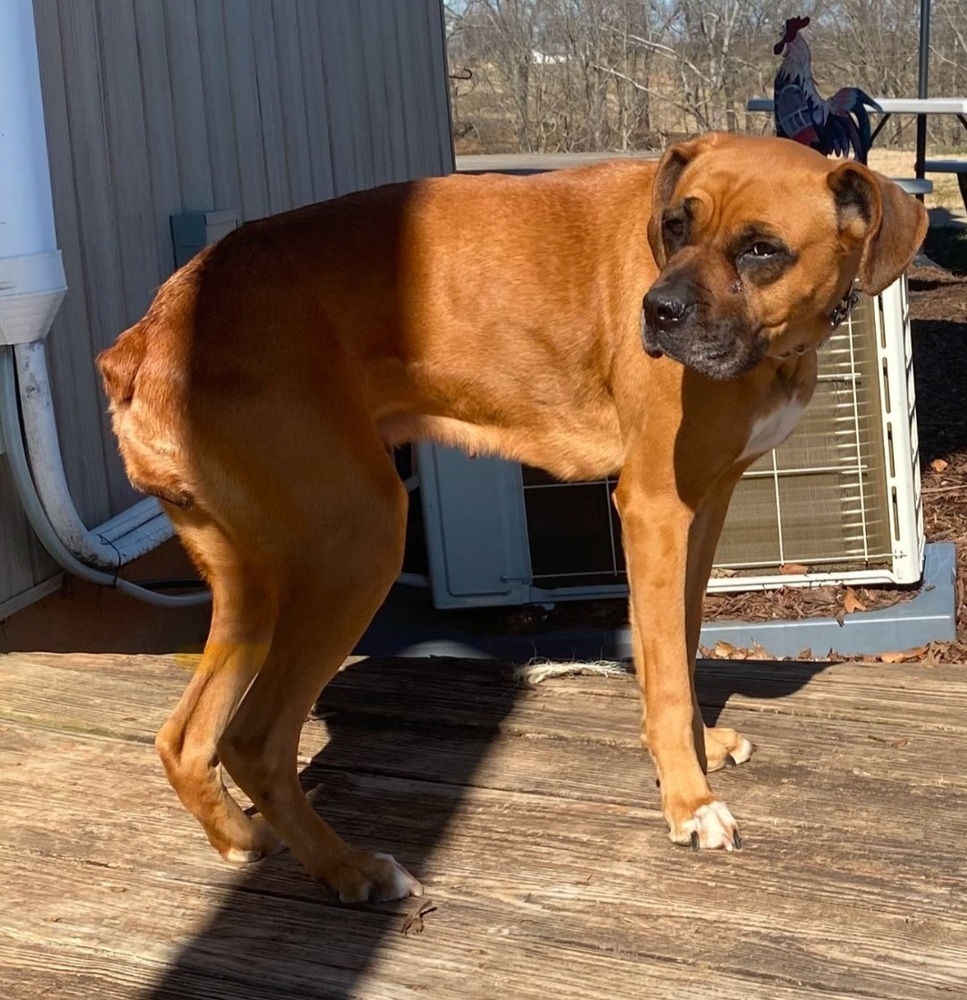 Heidi
