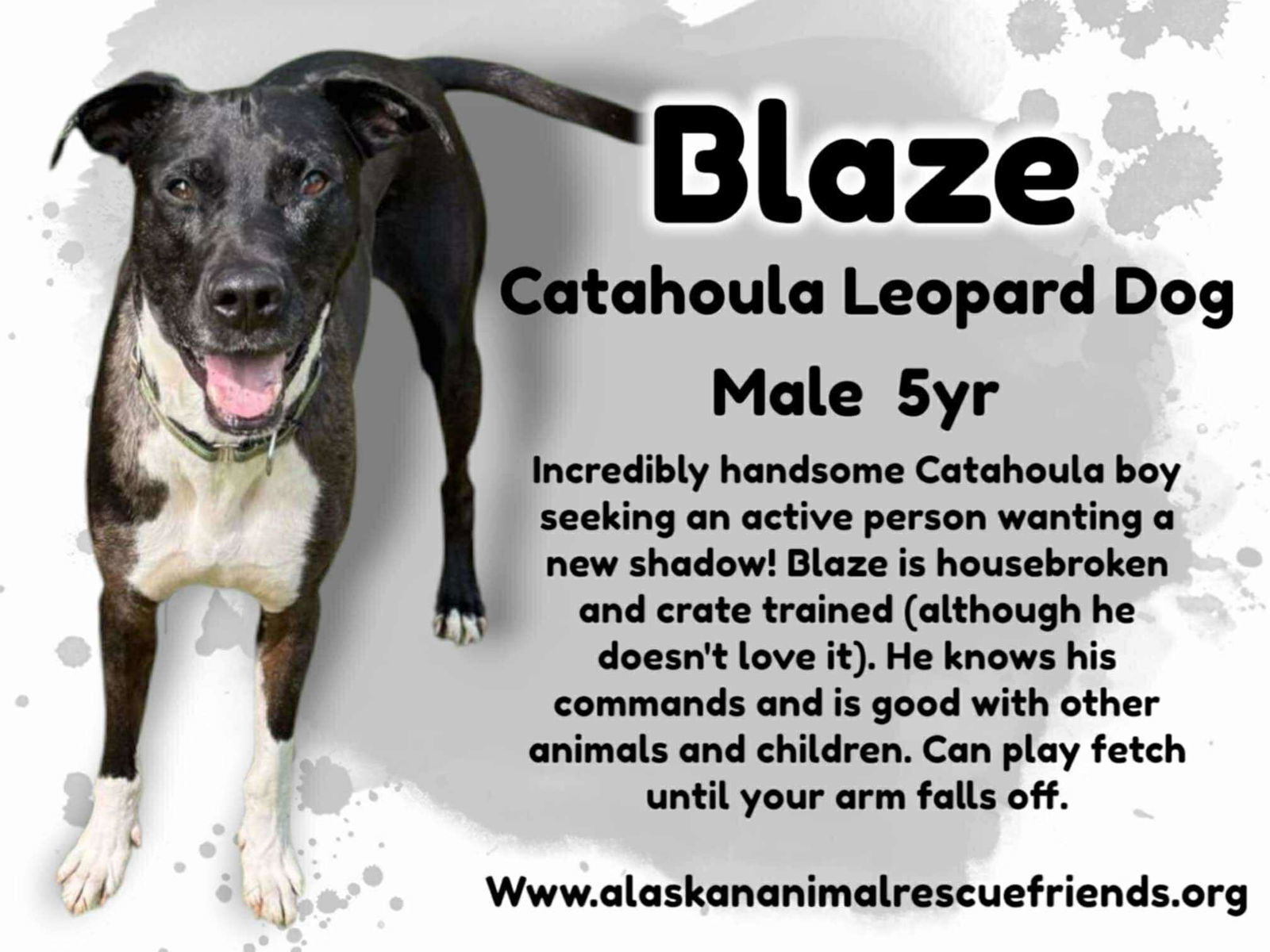 Blaze
