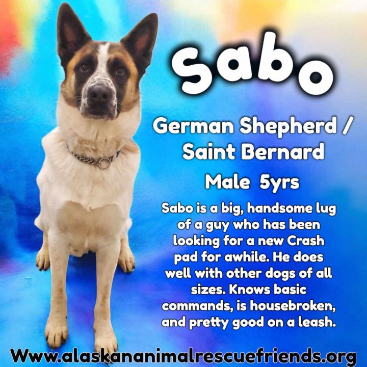 Sabo 1