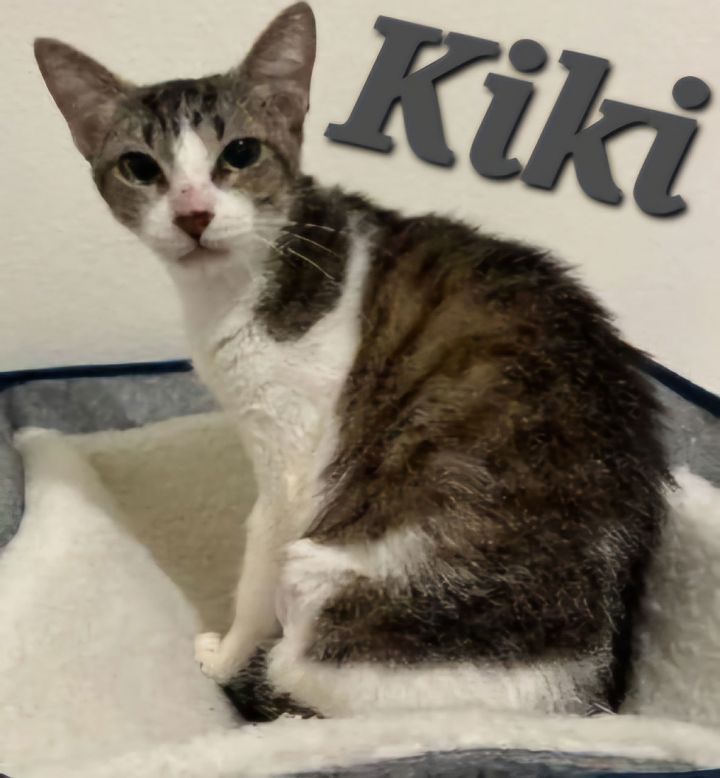 Kiki 1