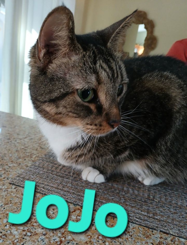 JoJo 1