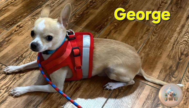 George 1