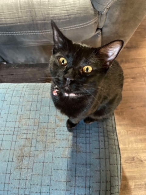Boo