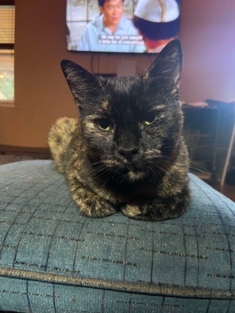Bella