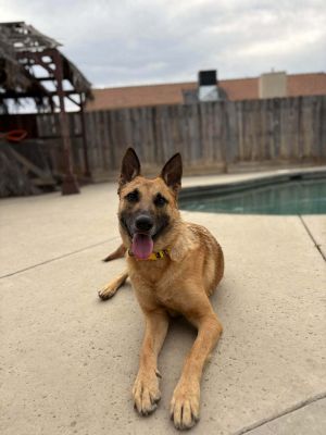 Delilah