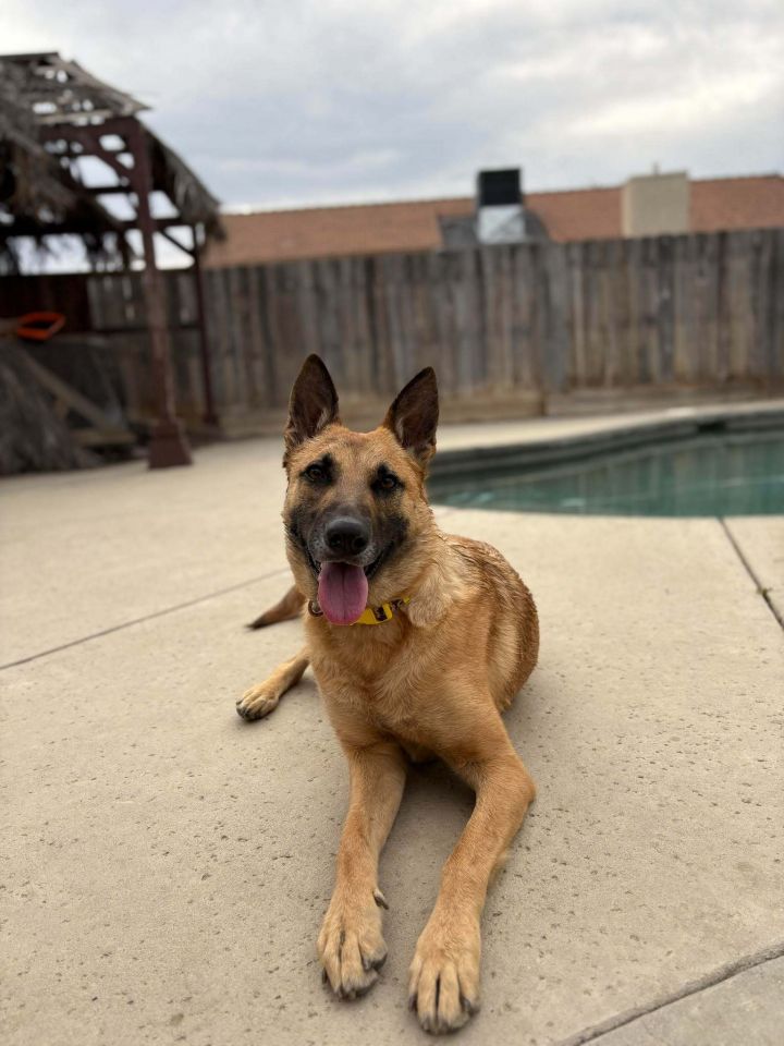Delilah 1