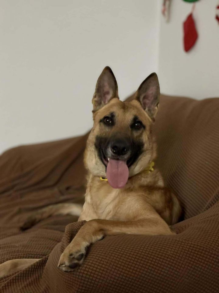 Delilah 3