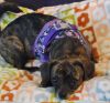 Layla photo 2