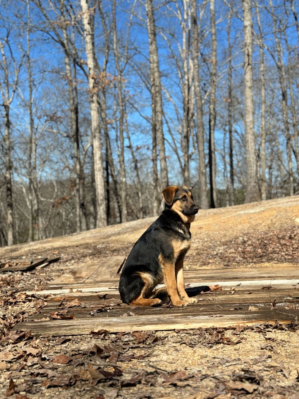 Murphy Photo
