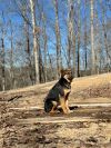 Murphy