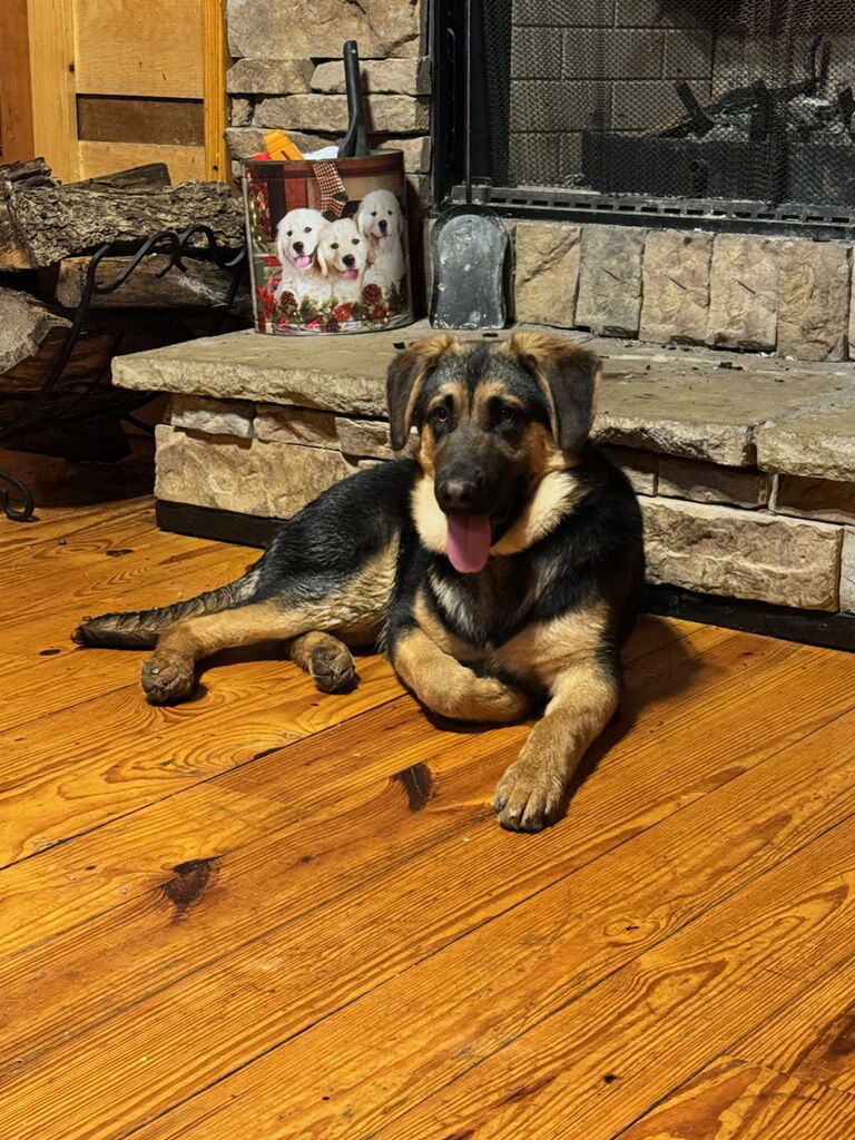 Murphy Photo