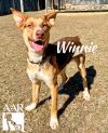 Winnie photo 4