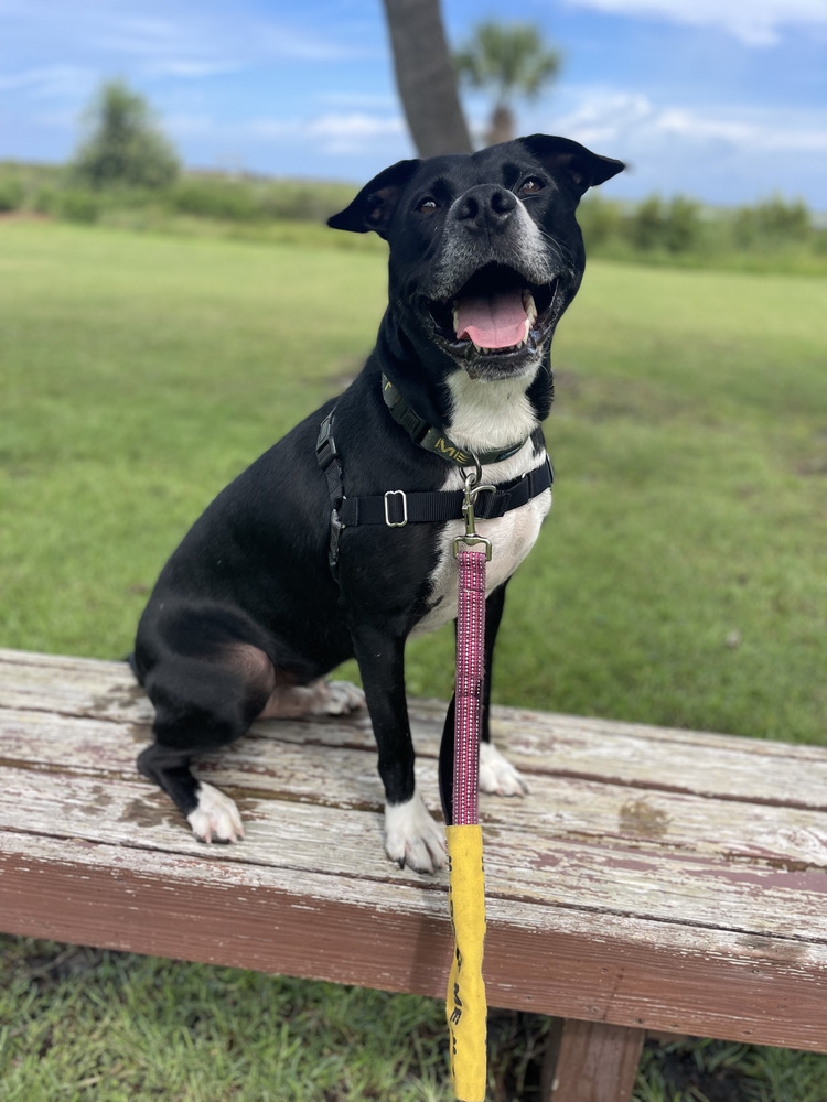 Aspen